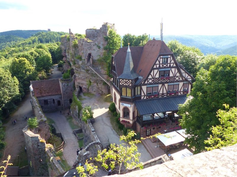  Château du Haut-Barr 