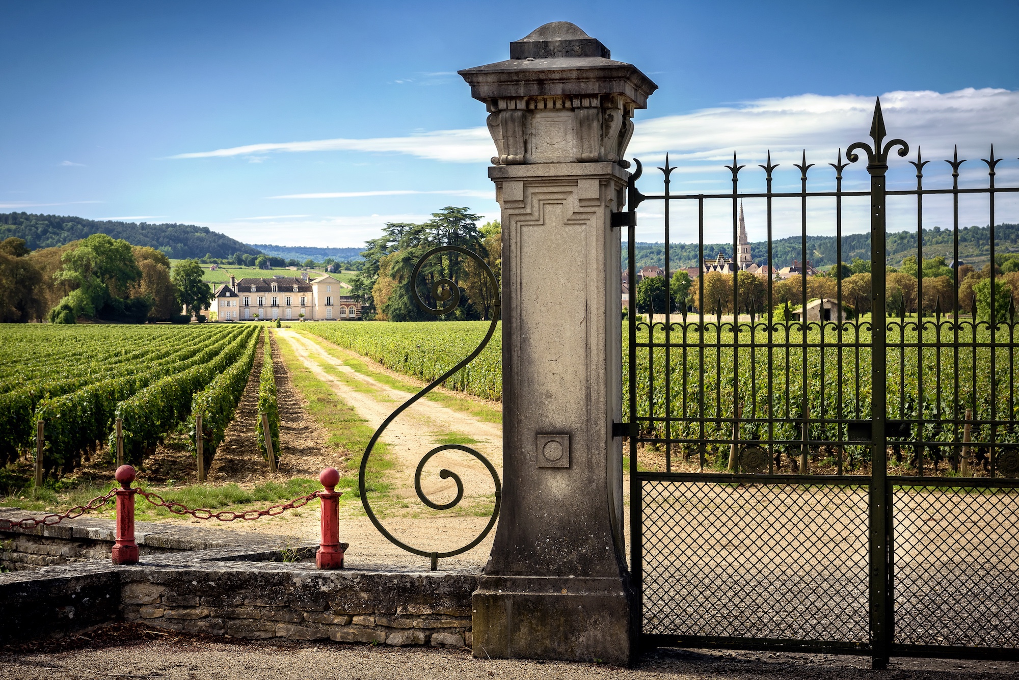 Castle with vineyards, Burgundy