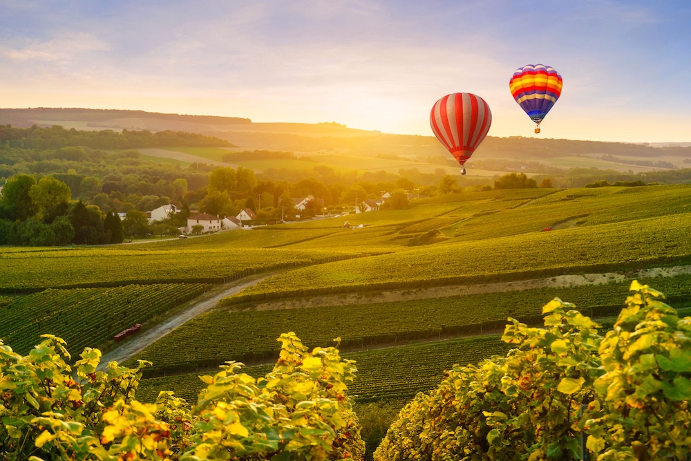 Ballooning over French Vineyards