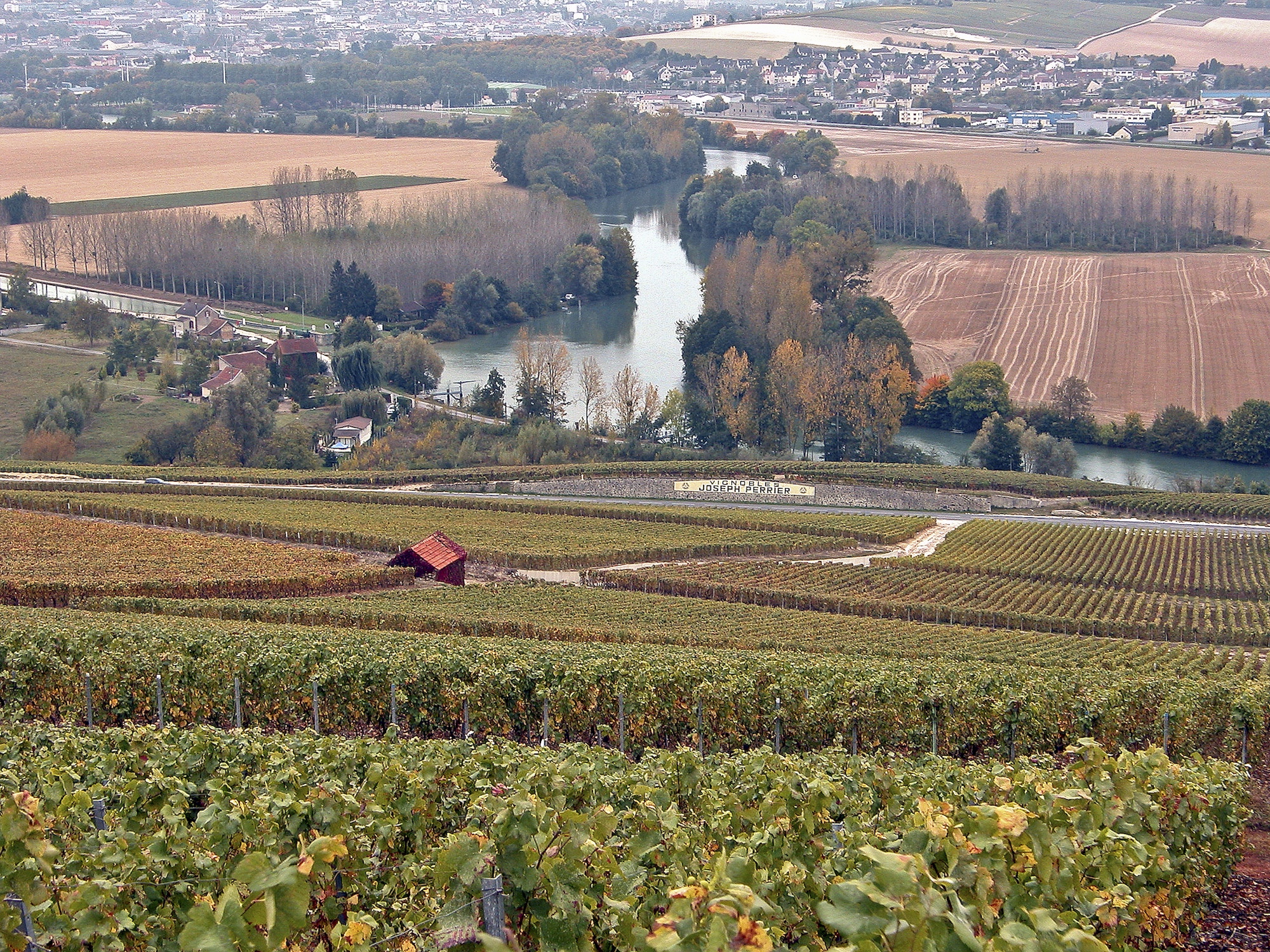 Vinyards on the Marne