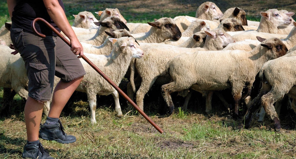  Sicilian shepherds 