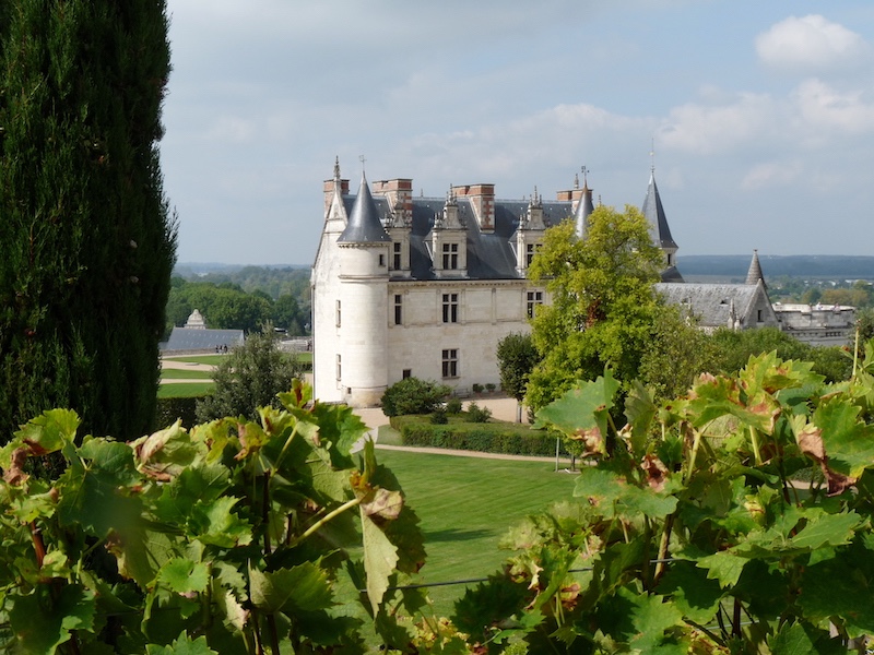  Chateau d'Amboise set amongst vineyards 