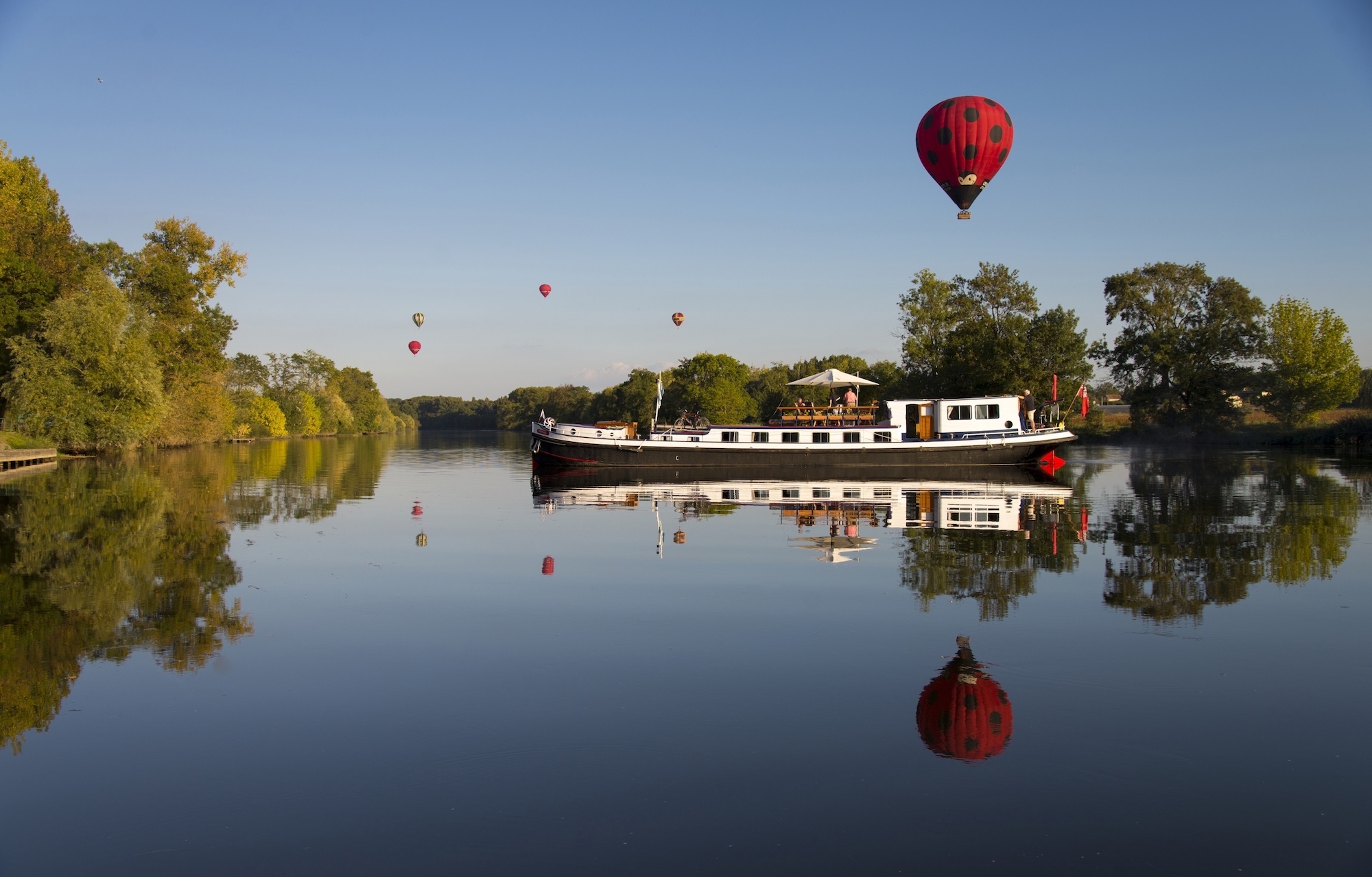 Balloons over Nymphea