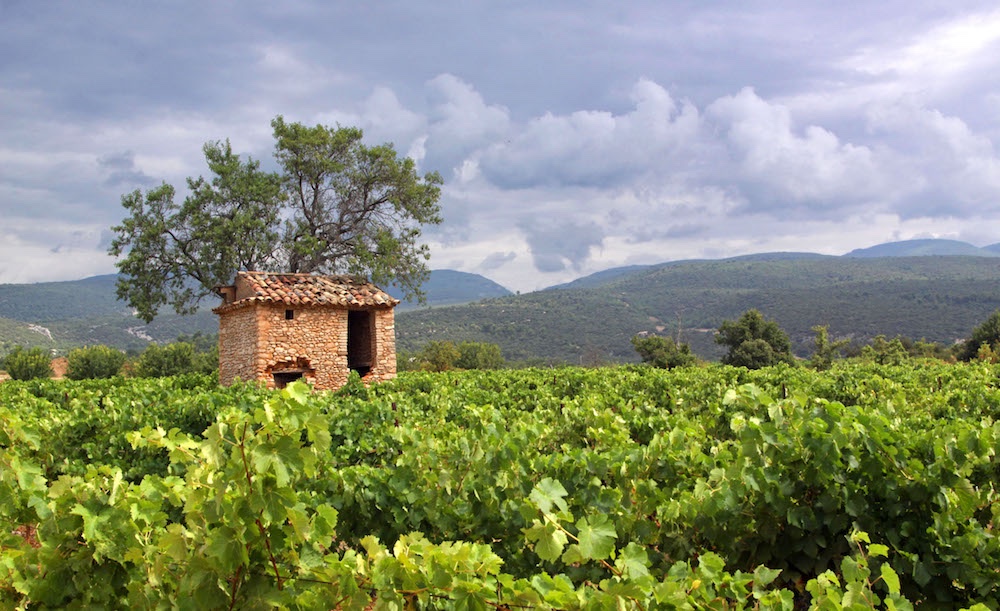  Vineyards in Villars Vaucluse 