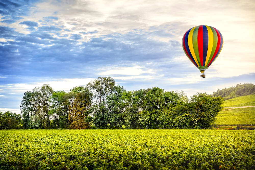 Ballooning Over Vineyards