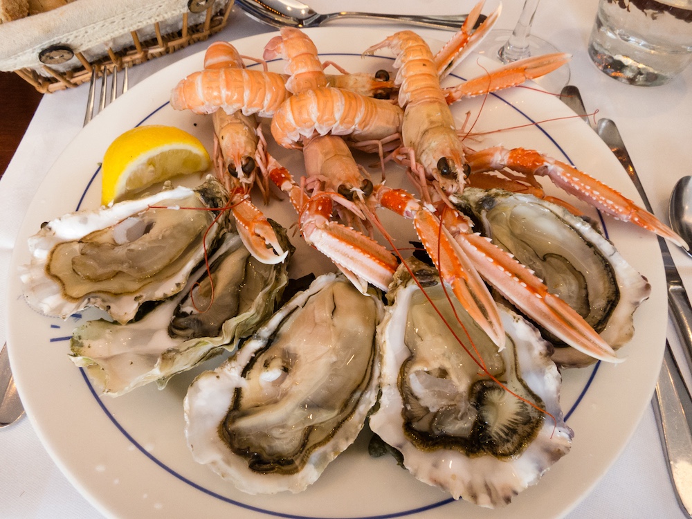  langoustine and fresh oysters, lobster, Brittany 