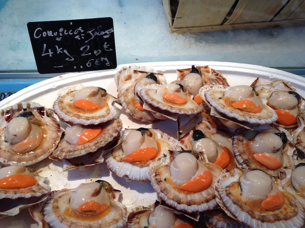  Coquille st Jacques, Normandy 