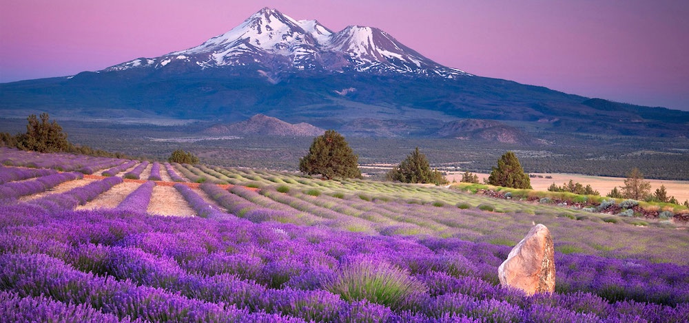  Provence below snow capped mountains 