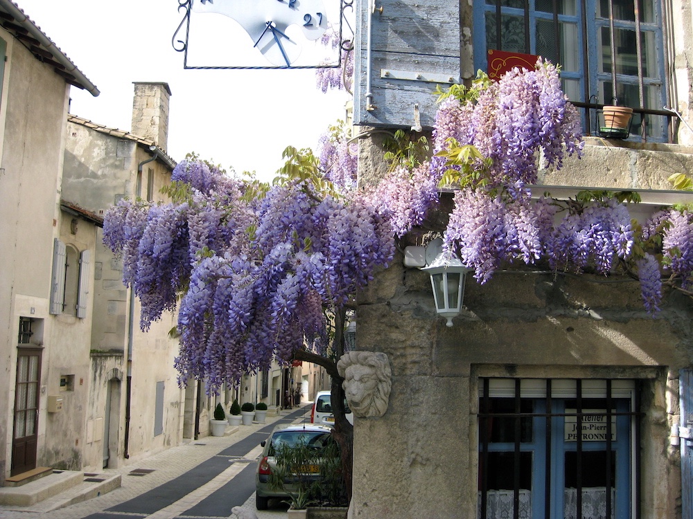  St Remy de Provence 