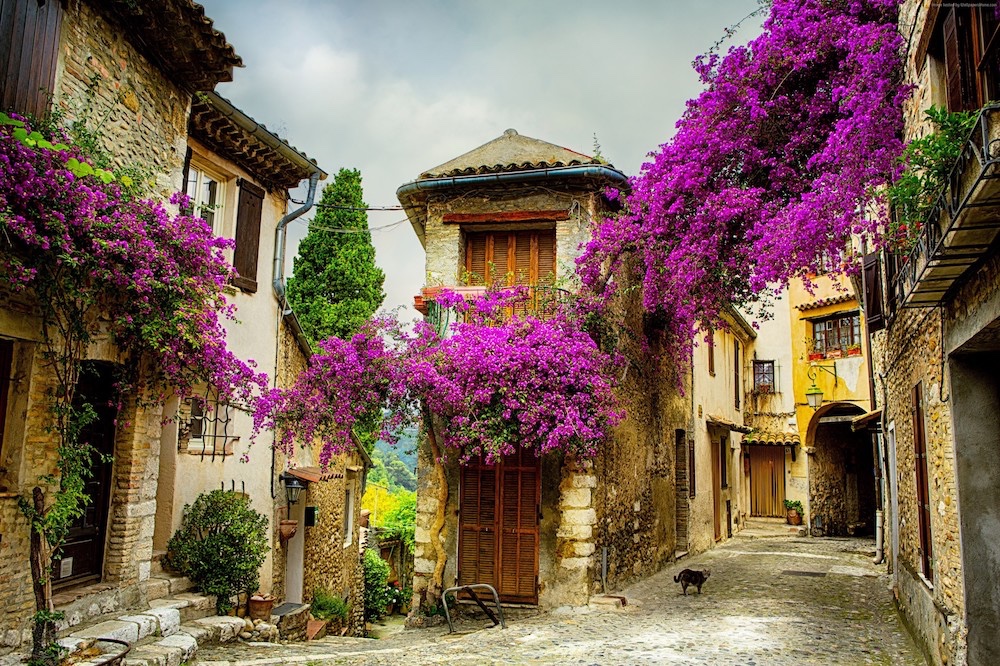 Provence street