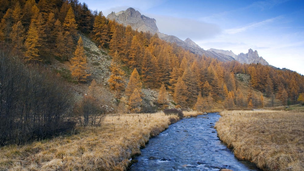  France Autumn Colors 