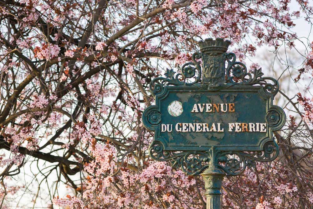  Paris February Early Plum Blossoms 