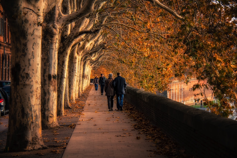  Autumn in France 