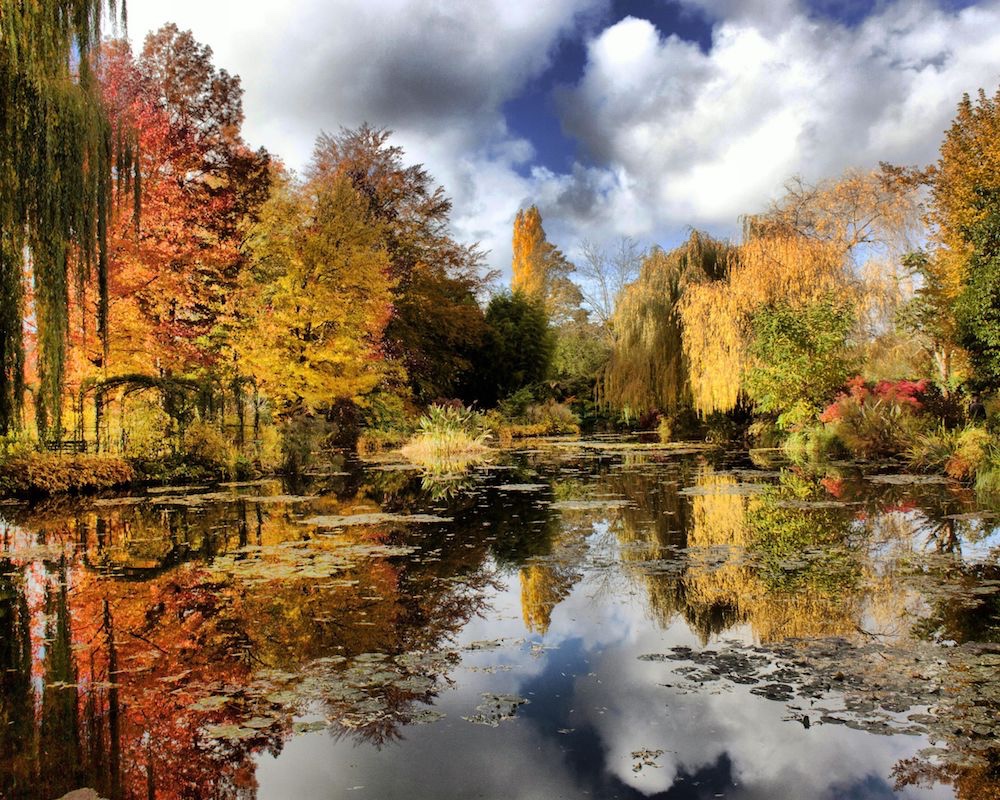  Claude Monet's garden in late autumn 