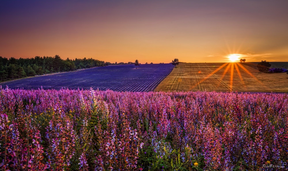  Autumn in Provence 