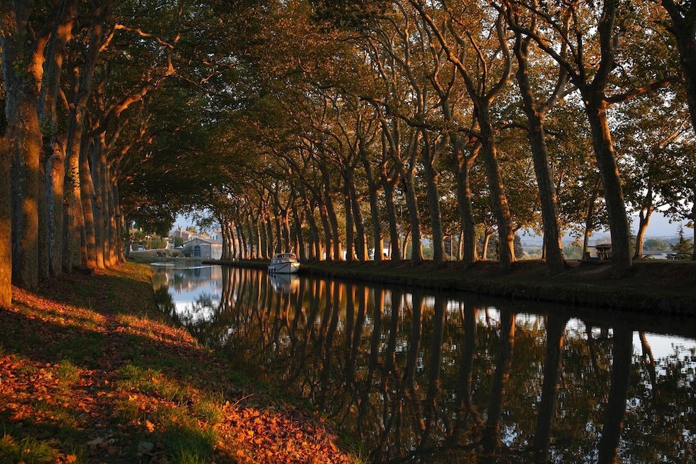  Fall on the Canal du Midi 